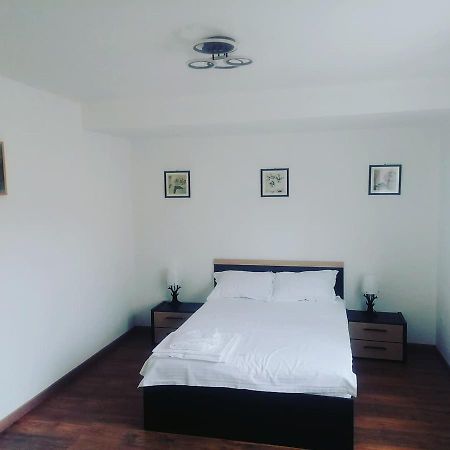Ferienwohnung La Bunici Baia Mare Exterior foto