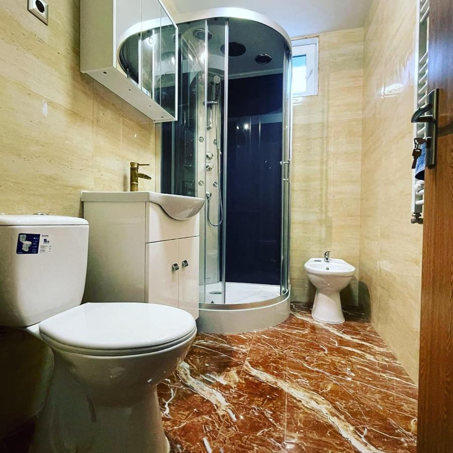 Ferienwohnung La Bunici Baia Mare Exterior foto